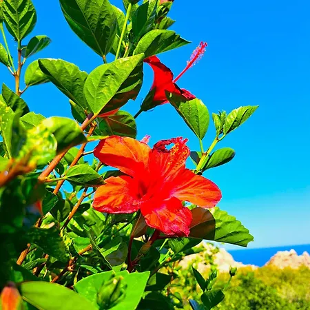 Tatil Evi Aegean Serenity - Sea View Retreat