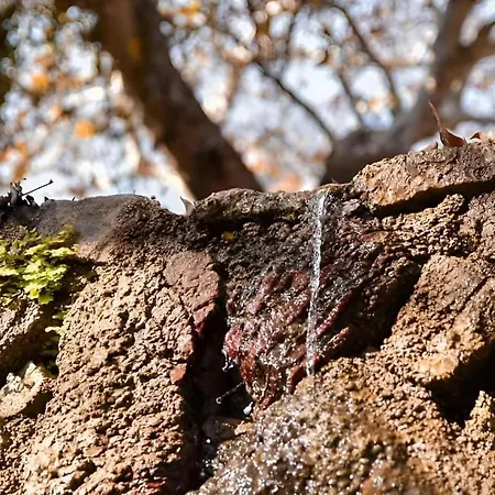 Aegean Serenity - Sea View Retreat Nyaraló *