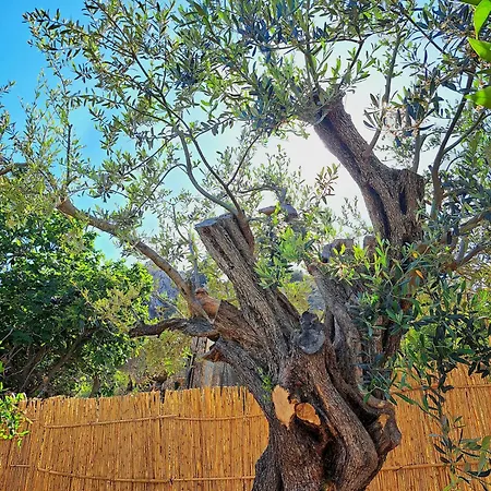 Nyaraló Aegean Serenity - Sea View Retreat *