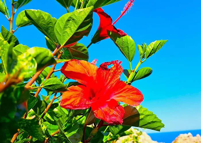 度假居 Aegean Serenity - Sea View Retreat