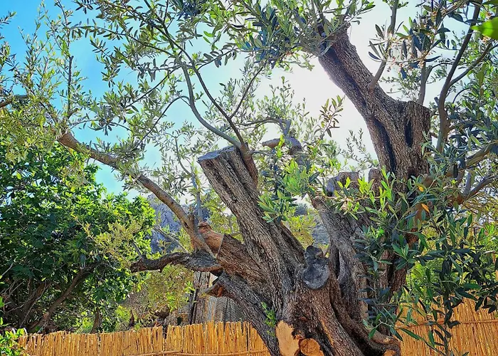 펜션 Aegean Serenity - Sea View Retreat *