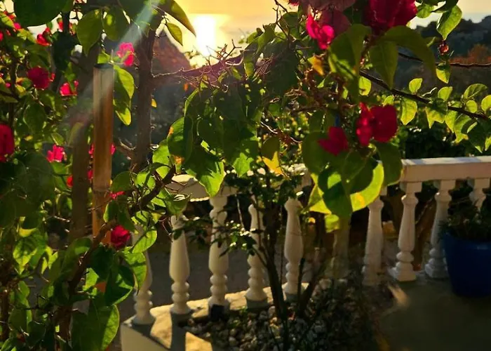 Aegean Serenity - Sea View Retreat